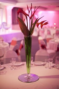 K2K Events Management Ltd 470554 Image 3